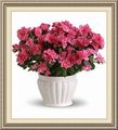 Baskets & Bouquets, 2500 N Council Rd, Blanchard, OK 73010, (405)_485-9799